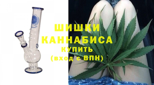 молекула духа Богородицк