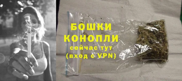 молекула духа Богородицк
