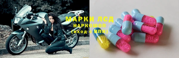 молекула духа Богородицк