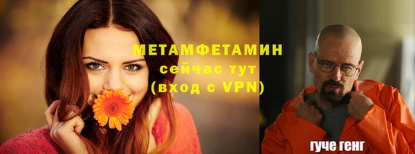молекула духа Богородицк