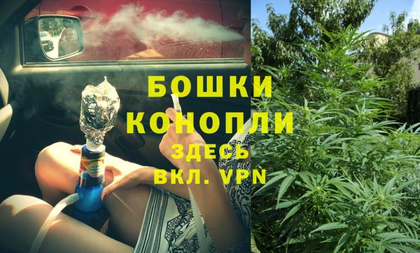 молекула духа Богородицк
