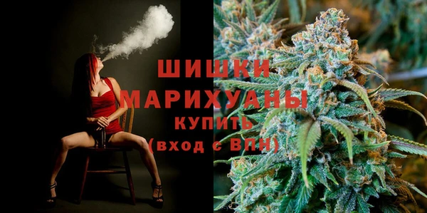 ECSTASY Богданович