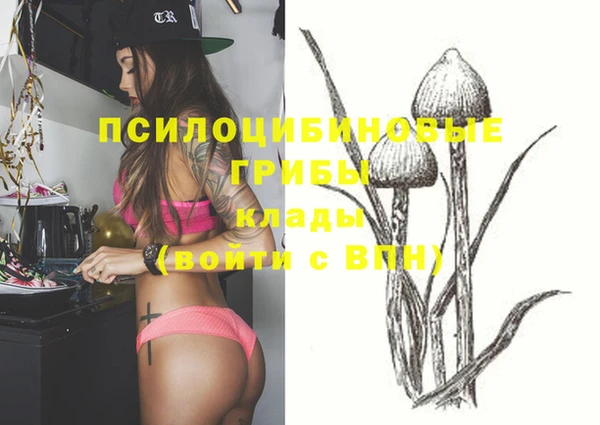 ECSTASY Богданович