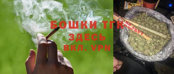 молекула духа Богородицк