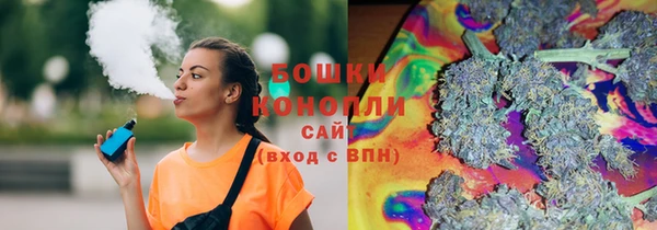 ECSTASY Богданович