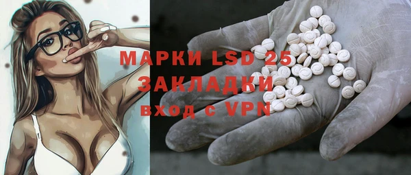 ECSTASY Богданович